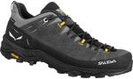 Salewa Herren Alp Trainer 2 GTX Schuhe