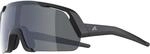 Alpina Kinder Rocket Youth Sportbrille