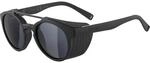 Alpina Glace Sportbrille