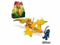 LEGO Ninjago 71803 Arins Drachengleiter 71803