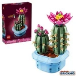 LEGO Botanicals 11509 Bl&uuml;hender Kaktus 11509
