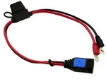 Victron Anschlusskabel mit M6 &Ouml;senanschluss + 30A Sicherung f&uuml;r Blue Smart IP65
