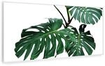 Klarstein Wonderwall Air Art Smart Infrarotheizung Gr&uuml;nes Blatt 120x60cm 700W