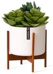 Fox & Fern Thorn Blumentopf mit St&auml;nder 50er Jahre Stil 2 Gr&ouml;&szlig;en 10038440