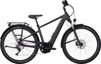 Pegasus 646-46940, PEGASUS Savino Evo 10 CX - 28 Zoll 625Wh 10K Diamant - grey matt