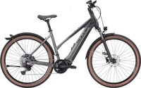 Bulls 837-74145, BULLS Cross Rider EVO 2 - 29 Zoll 750Wh 11K Trapez - metallic...