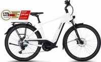 Pegasus 647-39045, PEGASUS Premio Evo 11 40 Years - 28 Zoll 750Wh 11K Diamant -