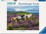 Ravensburger Puzzle Wildpferde in der Heide - 2000 Teile