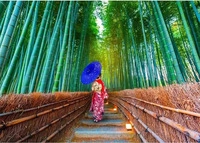 Enjoy Puzzle Puzzle-1293, Enjoy Puzzle Puzzle Asian Woman in Bamboo Forest -...