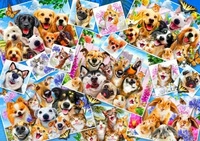 Bluebird Puzzle Puzzle-F-90232, Bluebird Puzzle Puzzle Selfie Pet Collage - 1000