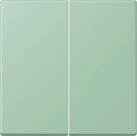 jung LC 995 217, Jung Wippe 2fach, Duroplast lackiert, Serie LS, vert anglais clair