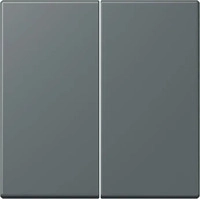 jung LC 995 202, Jung Wippe 2fach, Duroplast lackiert, Serie LS, gris fonc&eacute; 31