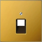 jung LS 969-1 UA GGO, Jung Abdeckung f&uuml;r IAE/UAE-Anschlussdosen, 1 x 8-polig, Metall