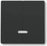 Busch-Jaeger 2CKA006599A2906, Busch-Jaeger Bedienelement f&uuml;r Dimmer Doppeltaster mit