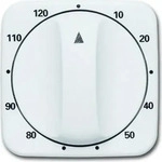 Busch-Jaeger 2CKA001753A6315, Busch-Jaeger Zentralscheibe mit Aufdruck 10 ... 120 min