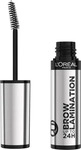 L'Or&eacute;al Paris AA778200, L'Or&eacute;al Paris Infaillible Brow Lamination 24H Brow Gel 00