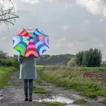 REMEMBER Taschen - Regenschirm "Neptun" - ge&ouml;ffnet L 58cm, &Oslash; 100 cm - Bunter
