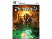 NBG Dungeons - Gold Edition (PC), USK ab 12 Jahren