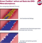 PZN-DE 16780106, Uriach Emser Pastillen Halstabletten Salted Caramel 30 ST