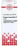 Populus Tremuloides Urtinktur 20 ML