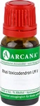 PZN-DE 13053564, ARCANA Dr. Sewerin Rhus Toxicodendron Lm 5 10 ML
