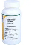 Artemisia Extrakt 90 ST
