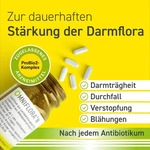 PZN-DE 04764622, Heilpflanzenwohl Omniflora N 100 ST