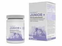 Lactobact Junior 60 G