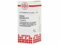 Calcium Fluorat D12 10 G