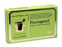 Pycnogenol Kiefernrindenextrakt Pharma Nord 60 ST