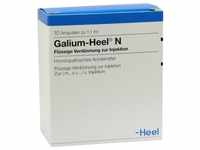 Galium-Heel N 10 ST