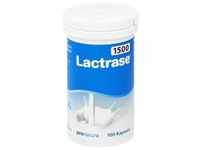 Lactrase 1500 Fcc/Kps 100 ST