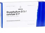Bryophyllum D 5 Con D 7 8 ML