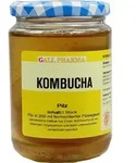 Kombucha Teepilz 1 ST