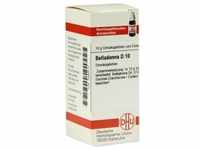 Belladonna D10 10 G