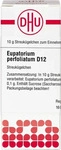 PZN-DE 02898465, DHU-Arzneimittel Eupatorium Perf D12 10 G