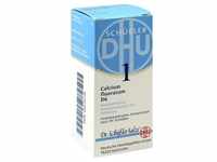 Biochemie Dhu 1 Calcium Fluoratum D 6 80 ST