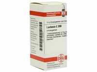 Lachesis C200 10 G