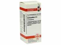 Colocynthis C 6 10 G