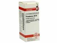 Phosphorus Lm Vi 10 ML