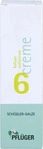 PZN-DE 05992756, Hom&ouml;opathisches Laboratorium Alexander Pfl&uuml;ger Biochemie Pfl&uuml;ger