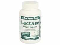 Lactase 12000 Fcc Enzym 120 ST
