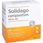 Solidago Comp Ad Us Vet 100 ST