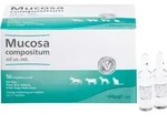 Mucosa Comp Ad Us Vet 250 ML
