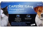 Capstar 11.4mg Katz+Kl Hun 6 ST