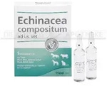 Echinacea Comp Ad Us Vet 5 ST