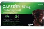 Capstar 57mg F Gro Hunde 6 ST