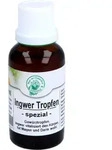 Ingwer Tropfen Spezial 30 ML