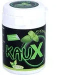 Kaux Zahnpflegekaugummi Spearmint mit Xylitol 40 ST