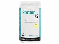 Protein 75 Vanille 500 G